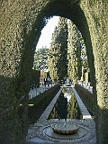 Garden At El Generalife